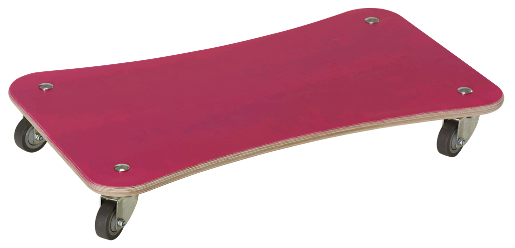 Pedalo® Skateboard "Color-Line"