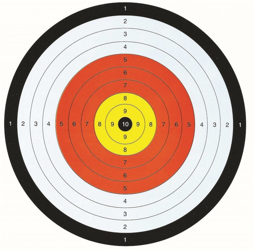 Lot de 10 cibles entraînement