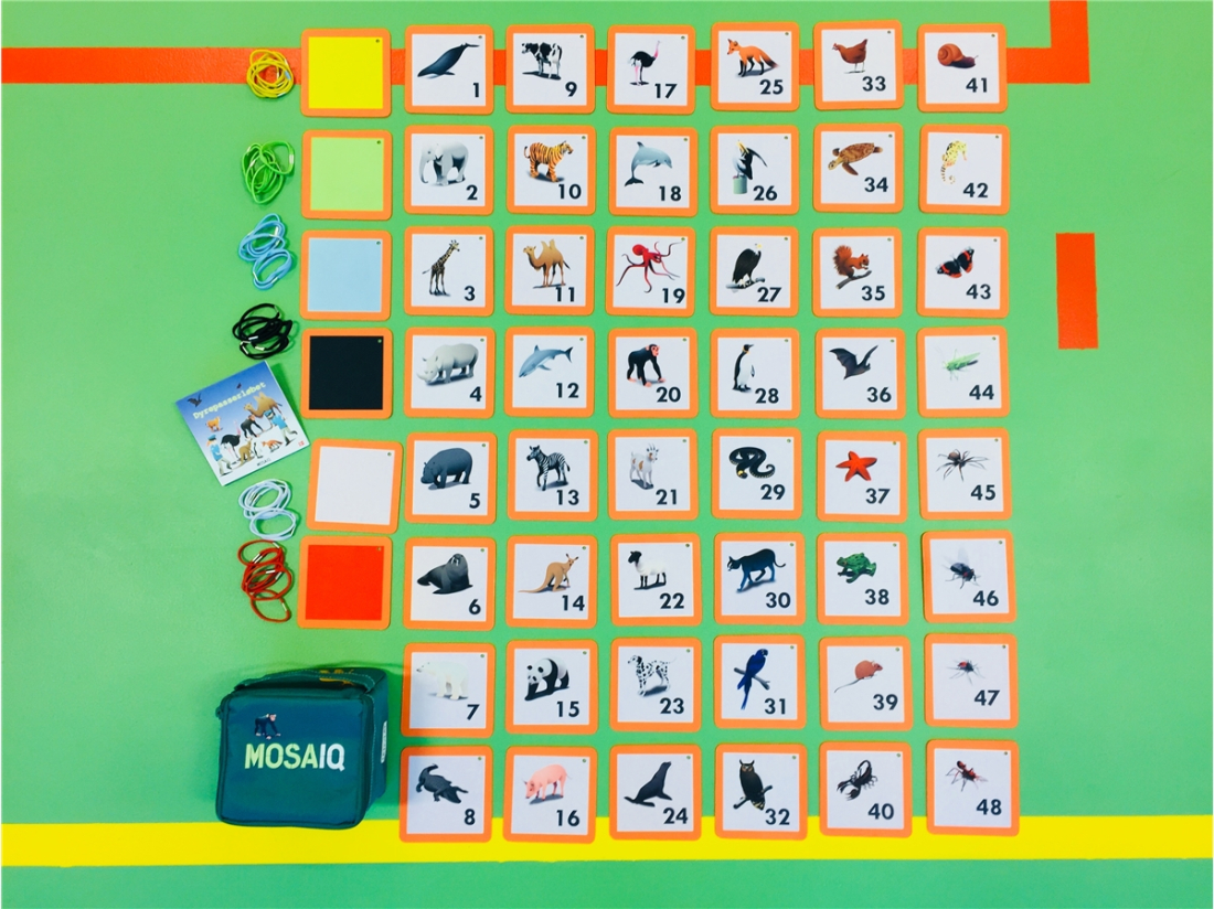 Kit MosaIQ Zoo