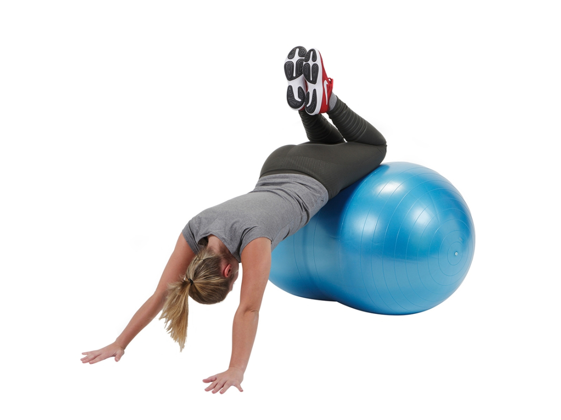 Ballon Physio Roll Plus