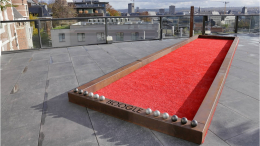 Terrain de pétanque Boogle - Corten
