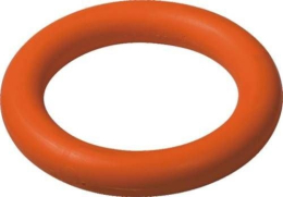 Gym Ringette ring 15cm