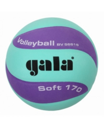 Ballon de volley Gala Jeune 170g 5681S