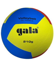 Ballon de volley Gala Jeune 210g 5551S