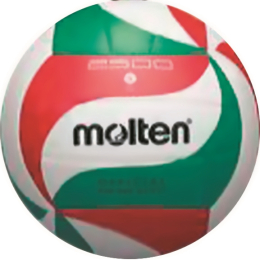 Ballon de volley Molten VM2501-L